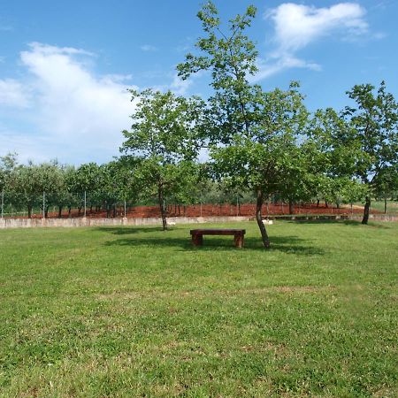Holiday Home Rosa Gedići Dış mekan fotoğraf